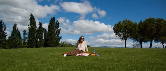 picnic-10